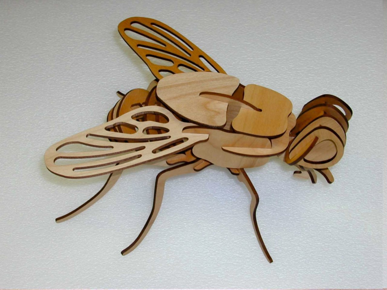 Laser Cut Wooden Fly 3D Puzzle Model Template Free Vector