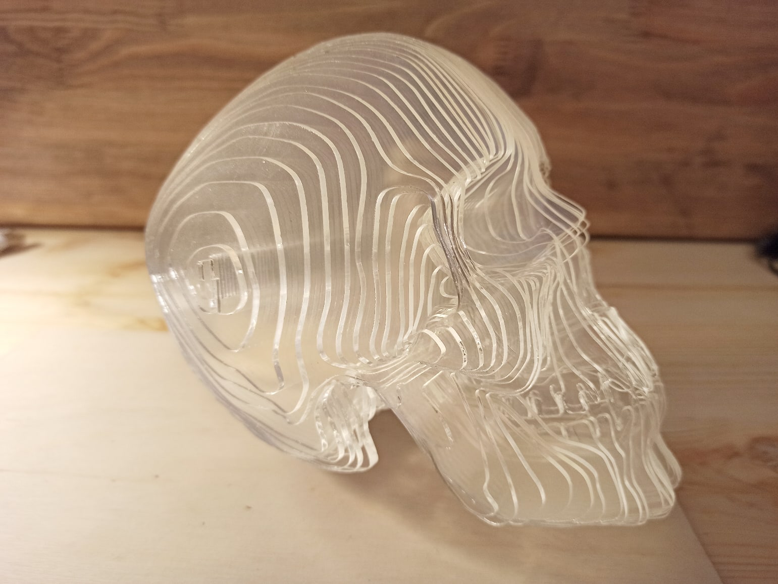 Laser Cut Acrylic 3D Skull Model Free Vector