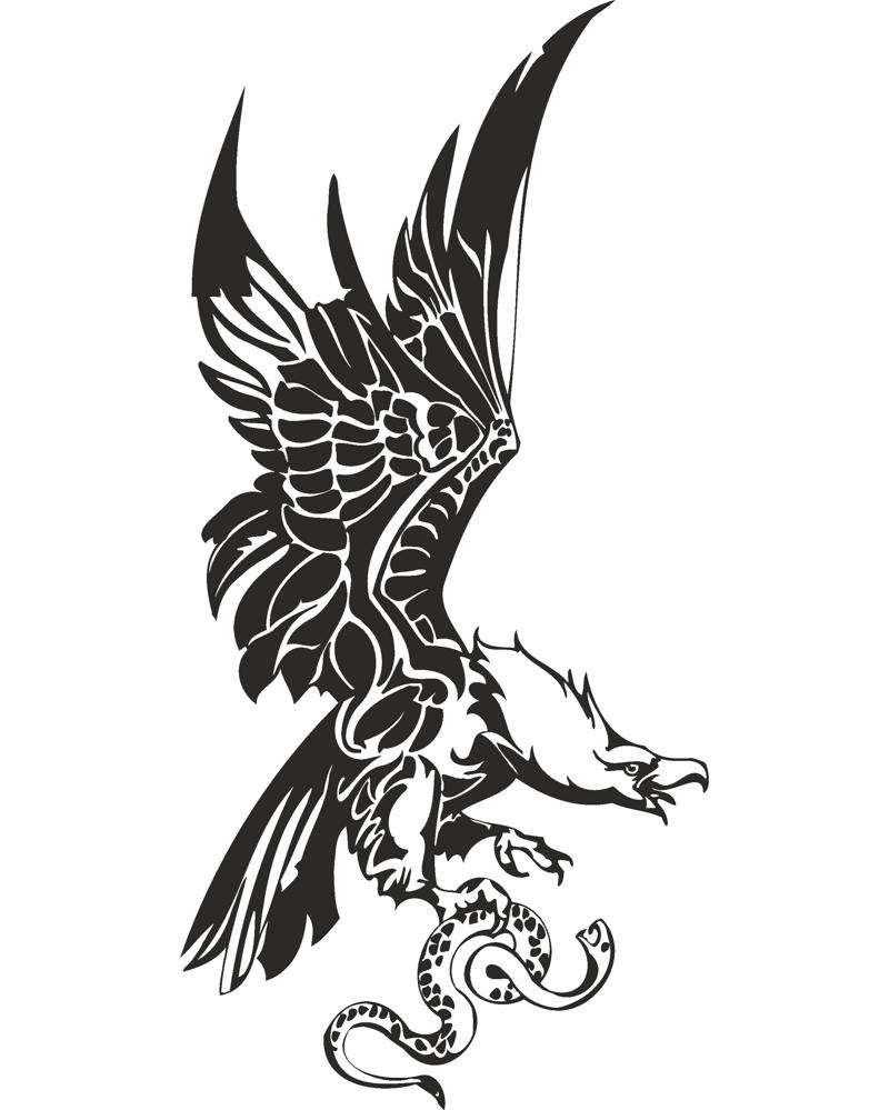 Eagle with Snake in Claws Vector Free Vector