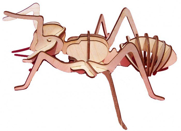 Laser cut Insect Ant Free Vector