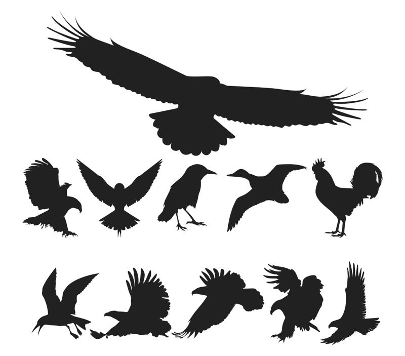 Birds Silhouette Vector Pack Free Vector